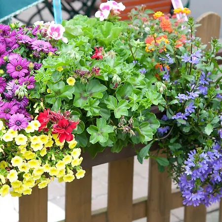 Haus Muehlbach Nideggen