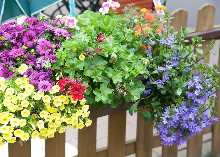 Haus Muehlbach Nideggen